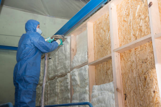 Professional Insulation Contractor in Salamatof, AK